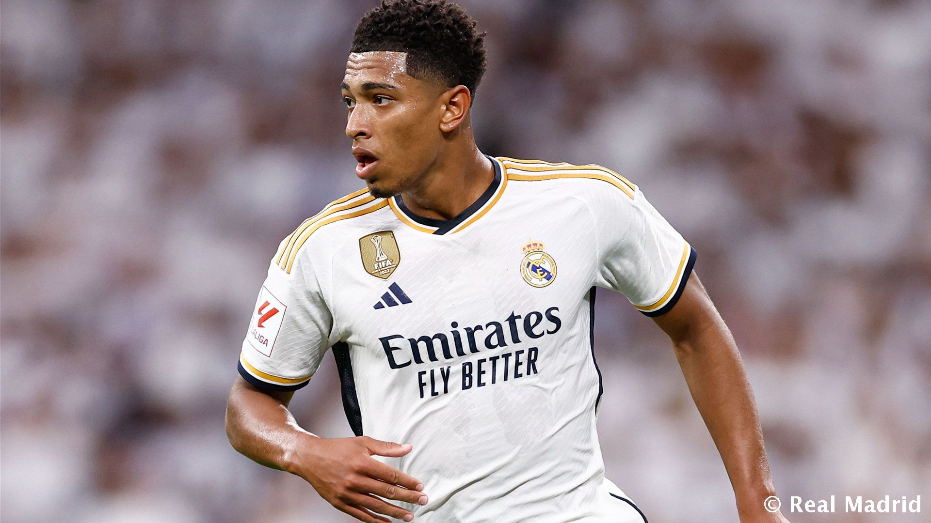 12月9日红王解盘比赛解读：支持力度足拜仁将迎酣畅（12月9日红王赛事解析：支持强劲，拜仁或迎畅快一战）